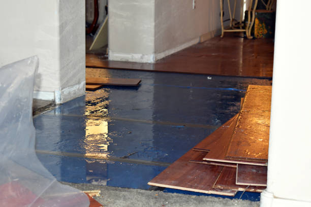 Professional Burst Pipe Cleanup technician working in Clermont, FL